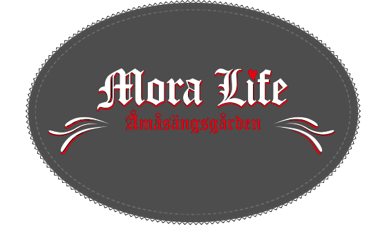 Moralife Åmåsängsgården AB